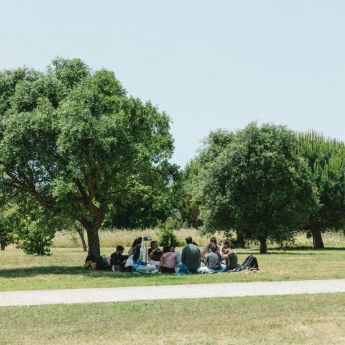 A serene outdoor gathering of adults under trees in a Portuguese park on a sunny day.
